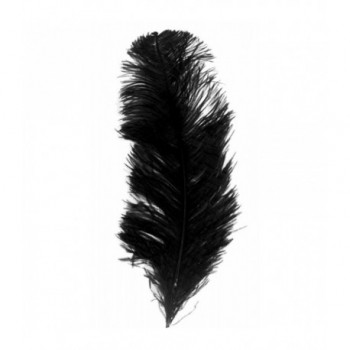 50 PLUMES NOIRS