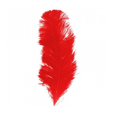 50 PLUMES ROUGE